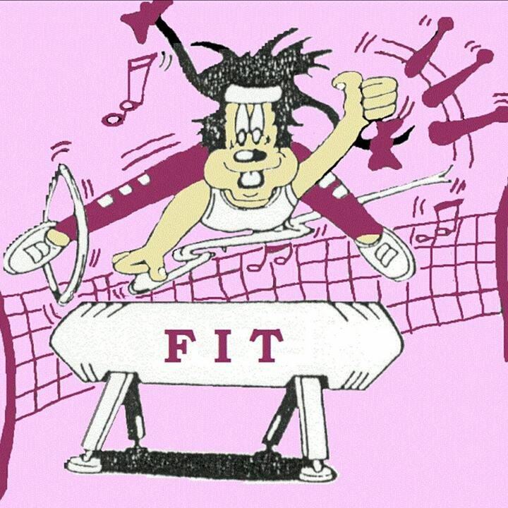 Gymnastiek vereniging FIT
