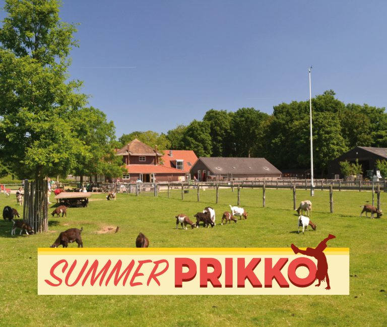 Kick-off Summerprikko!!